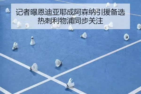 记者曝恩迪亚耶成阿森纳引援备选 热刺利物浦同步关注